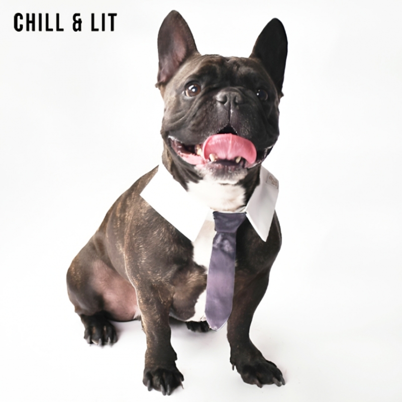Cravate Pour Chien