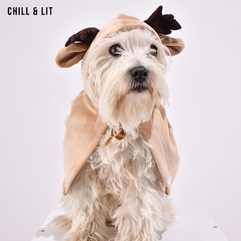 Cape Pour Chien