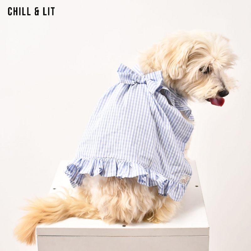 Robe Pour Chien