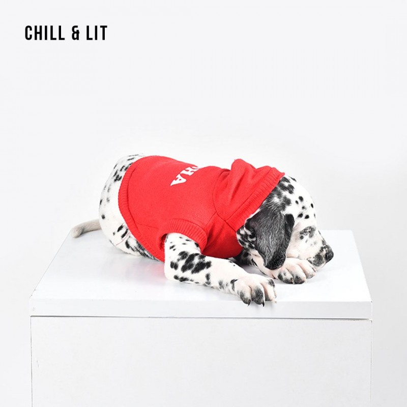 Sweat-Shirt Pour Chien