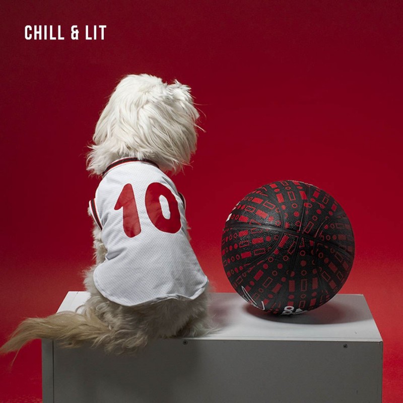 Basket Pour Chien