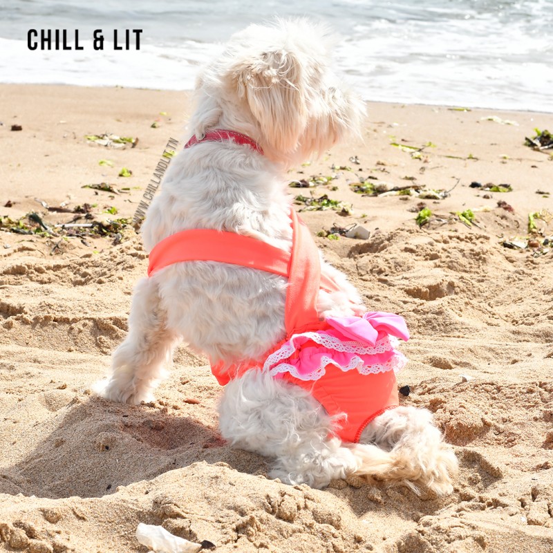 Maillot De Bain Pour Chien