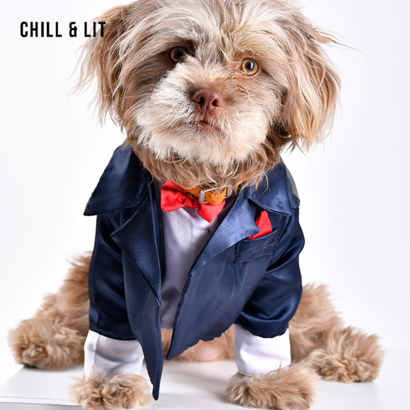 Costume Pour Chien