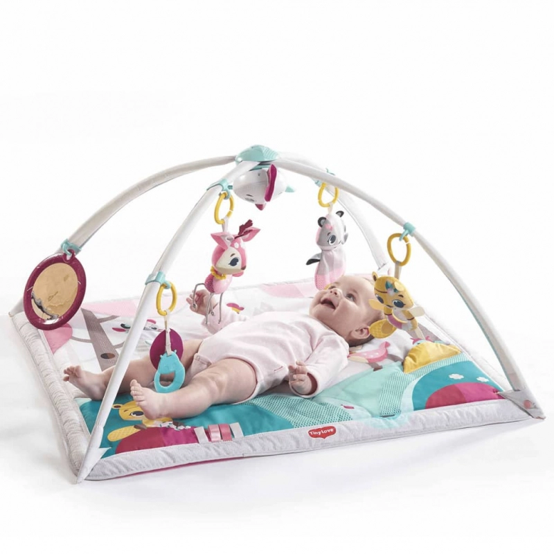 Tapid D'éveil Princess Deluxe