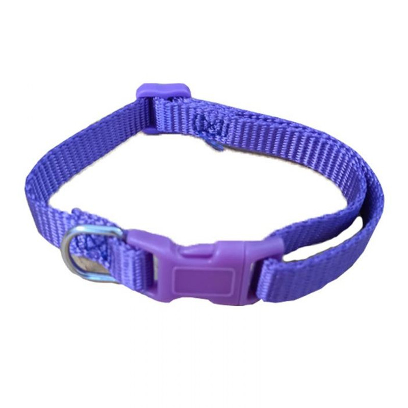 FELICAN Chiens Felican Uni 1Cm Mauve