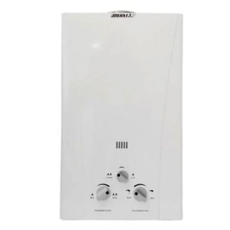 AUXSTAR Bain Auxstar à Gaz 10L