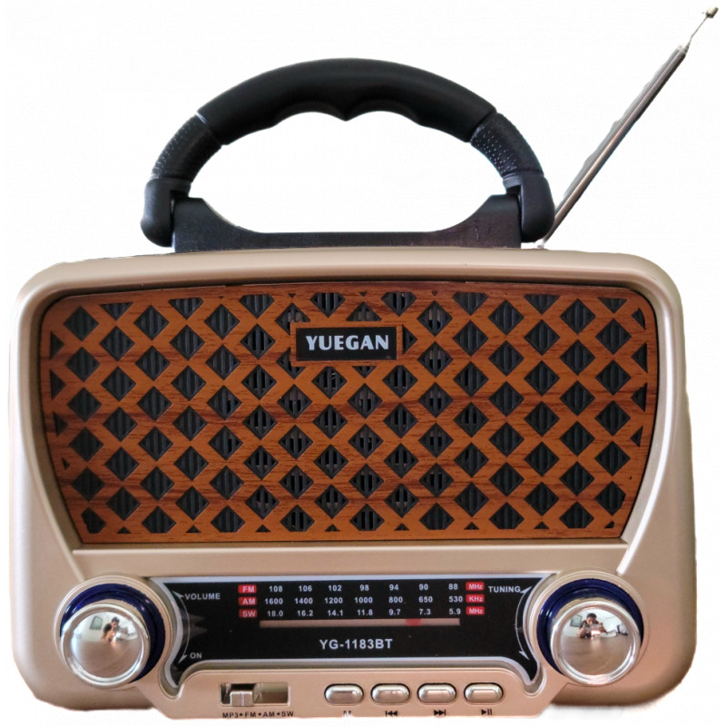 Yuegan Fm Bluetooth Yuegan YG-1183BT Marron