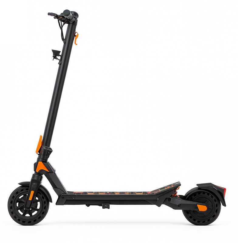 BOE Électrique Sport G1 350W