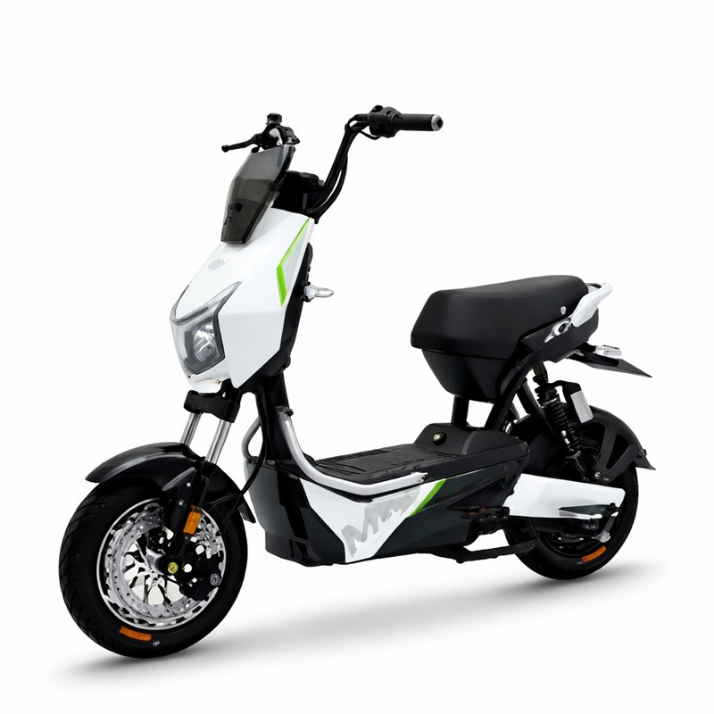 Wattgo Électrique Wattgo WG016 1000W