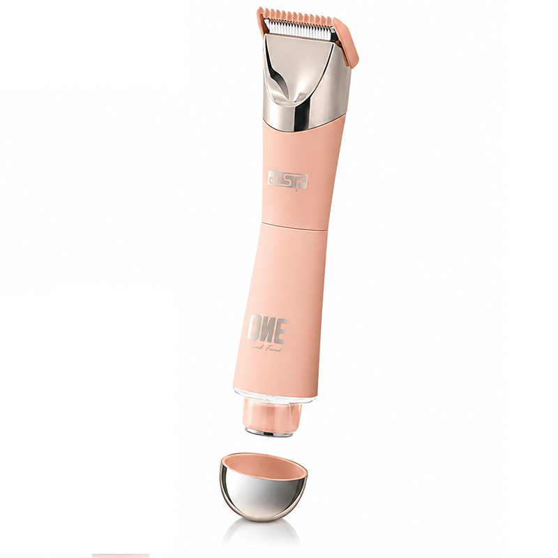 DSP 2En1 Rechargeable 60383U