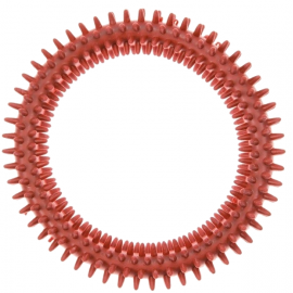 Anneau Dental Saveur Boeuf