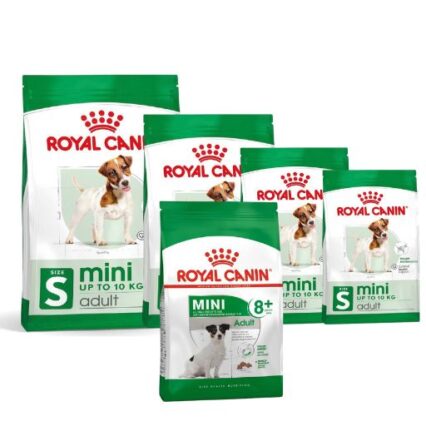 Royal Canin Mini Chien Adulte Croquettes pour Chien de Petite Race