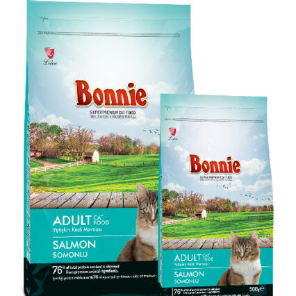 Bonnie Croquette Chat Saumon