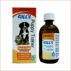 Attractif Chiots Chatons