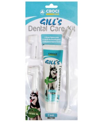 GILL'S KIT SOINS DENTAIRES