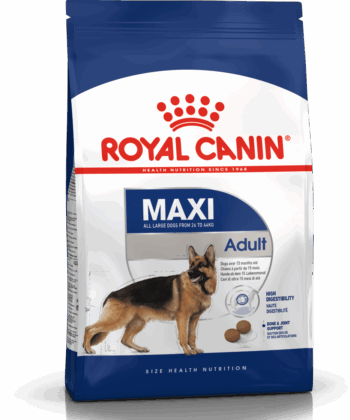 ROYAL CANIN CHIEN MAXI ADULT 4 KG