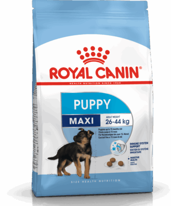 ROYAL CANIN CHIEN MAXI PUPPY 4 KG