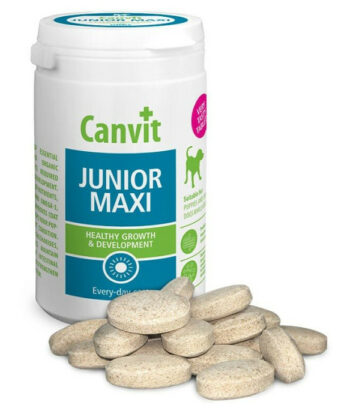 Canvit Junior Maxi