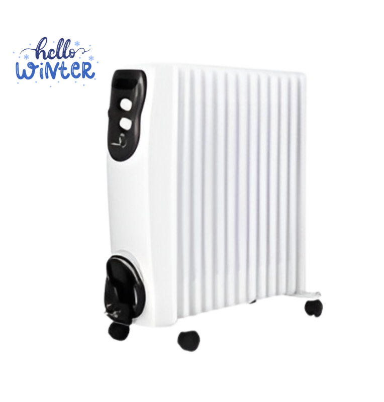bain d'huile 2000w bh20n