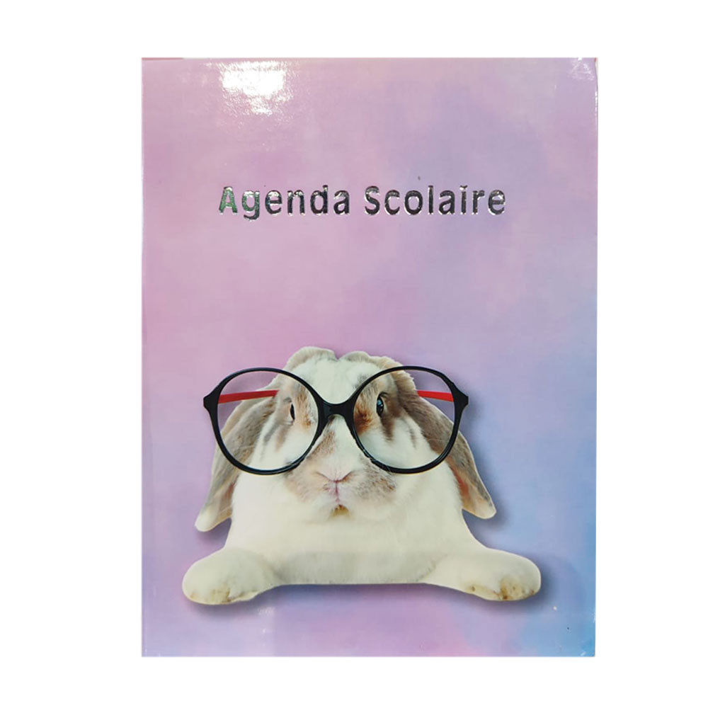 Agenda scolaire Lapino