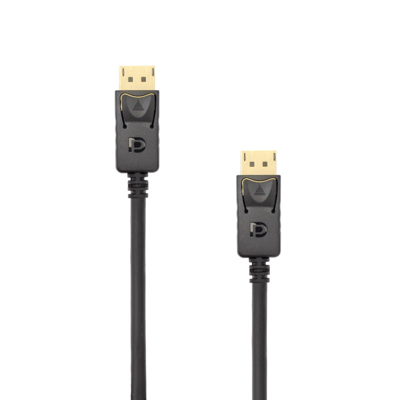 DisplayPort 2M