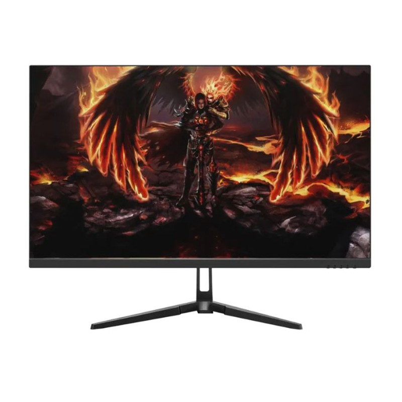 ECRAN GAMING AERO 24.5'' QG25DFA FULL HD 240HZ