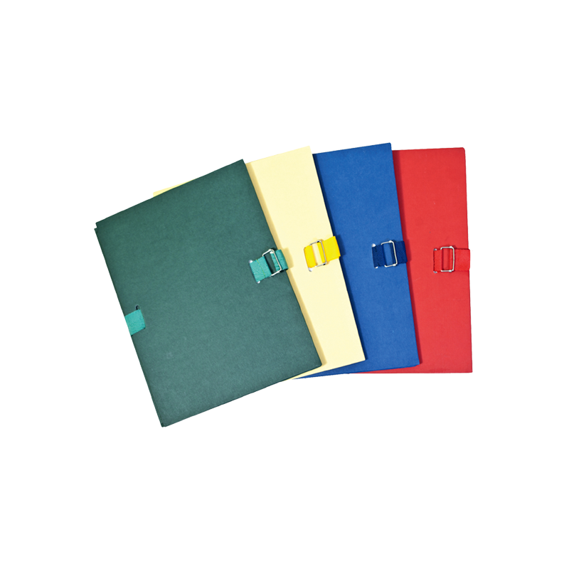 CHEMISES EXTENSIBLES PLASTIPAP 24X32 A SANGLE