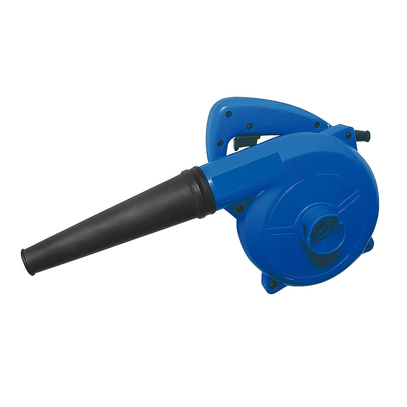 Souffleur D'AIR Lightning Power 650W