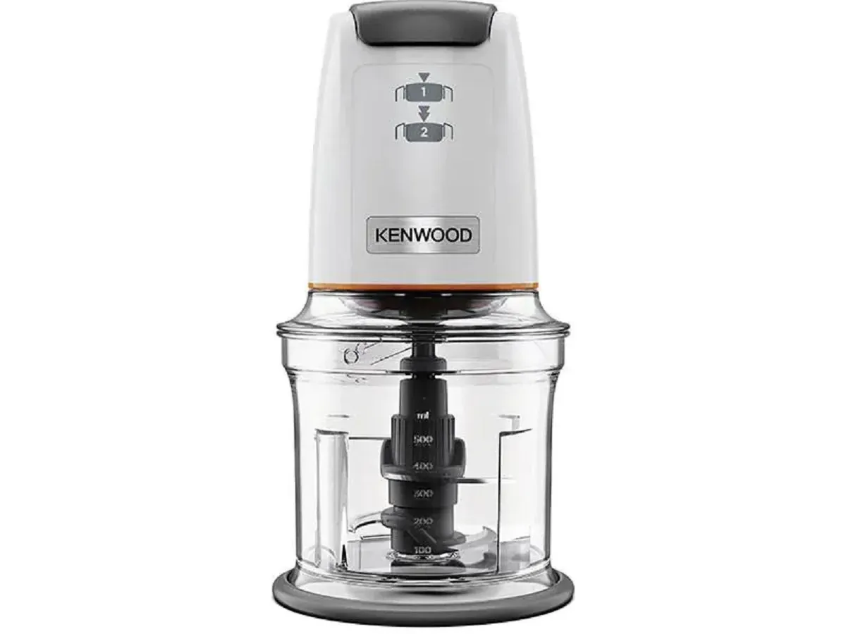 Mini Hachoir 500W