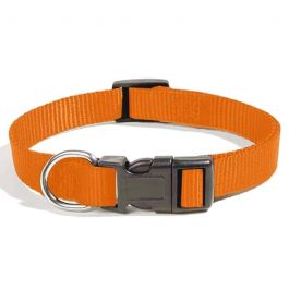 Collier pour Chien ZANILOVE 10mm
