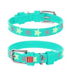 Collier GALMOUR STAR Pour Chien 19-25Cm