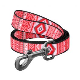 Laisse Nylon ETNO 15mm 122 _M Pour Chien