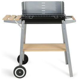 Barbecue à Charbon LIVOO DOC244