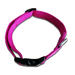 Collier Nylon Pour Chiens 10 mm Fuchsia
