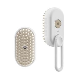 Brosse de Massage Électrique