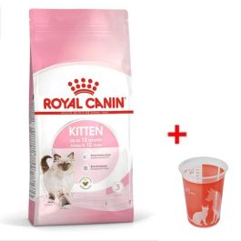Croquettes ROYAL CANIN Chat Kitten