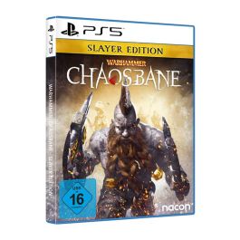 Sony Jeux PS5 Chaosbane Slayer