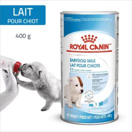 Chiot ROYAL CANIN FHN