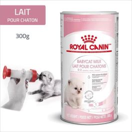 Chaton ROYAL CANIN