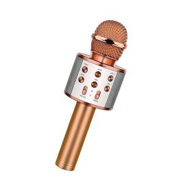 Microphone Karaoké KTV Sans Fil WS-858