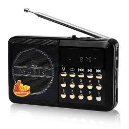 Radio YUEGAN YG011BT Sans Fil