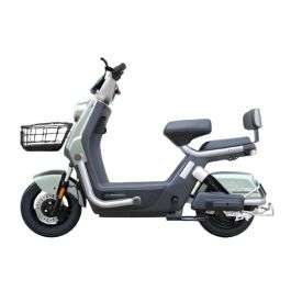 Scooter Électrique ECORIDE 1000 Watts Clair