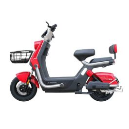 Scooter Électrique ECORIDE ALPHA- 1000 Watts