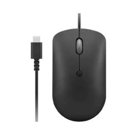 Lenovo Souris Filaire compacte 400 USB-C