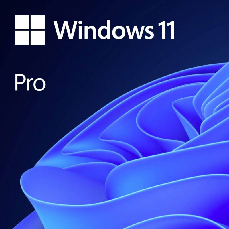 Microsoft Windows 11 Professionnel 64 bits OEM