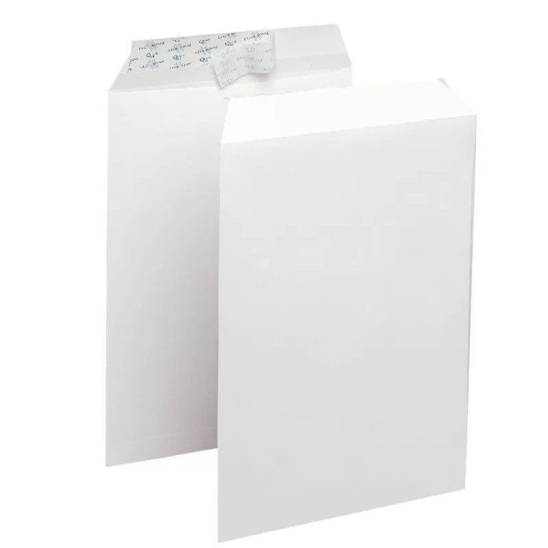 Pigna de 250 Pochette Blanche Pigna 300x400 Strip 90Gr