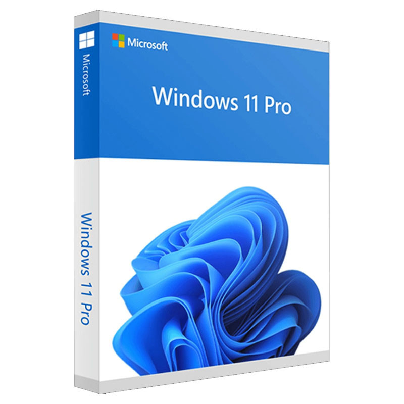 Microsoft Windows 11 Professionnel 64 bits DVD OEM DSP Part
