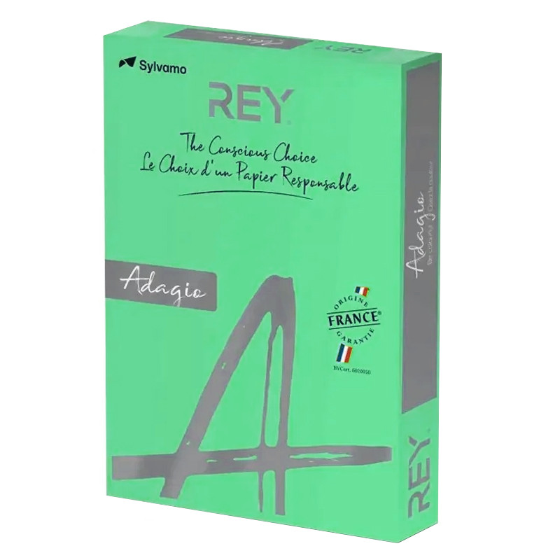 REY Couleur REY Adagio A4 500 Feuilles Chlorophylle Vif
