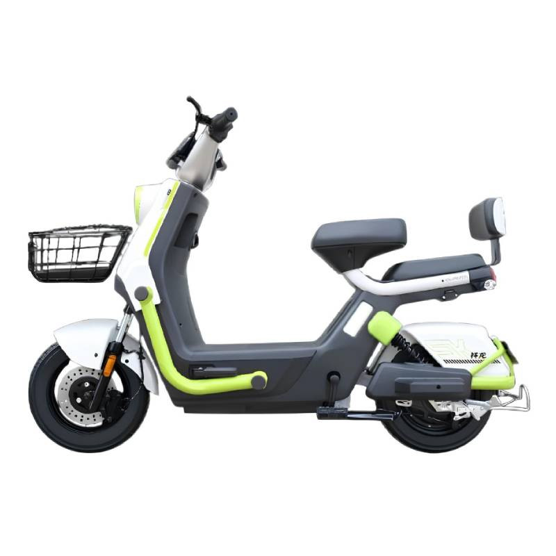 Ecoride Électrique Ecoride Alpha 1000 Watts Pistache