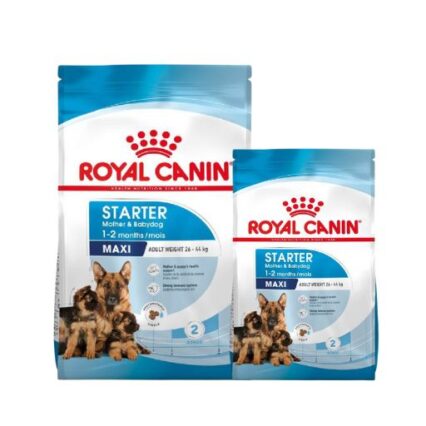 Royal Canin Maxi Starter Mother & Babydog Croquettes pour Chien Grande Race